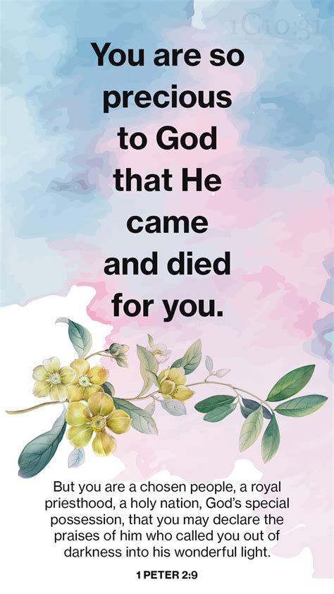 1 peter 2 kjv|Peter Scagliarini Obituary (1957 .